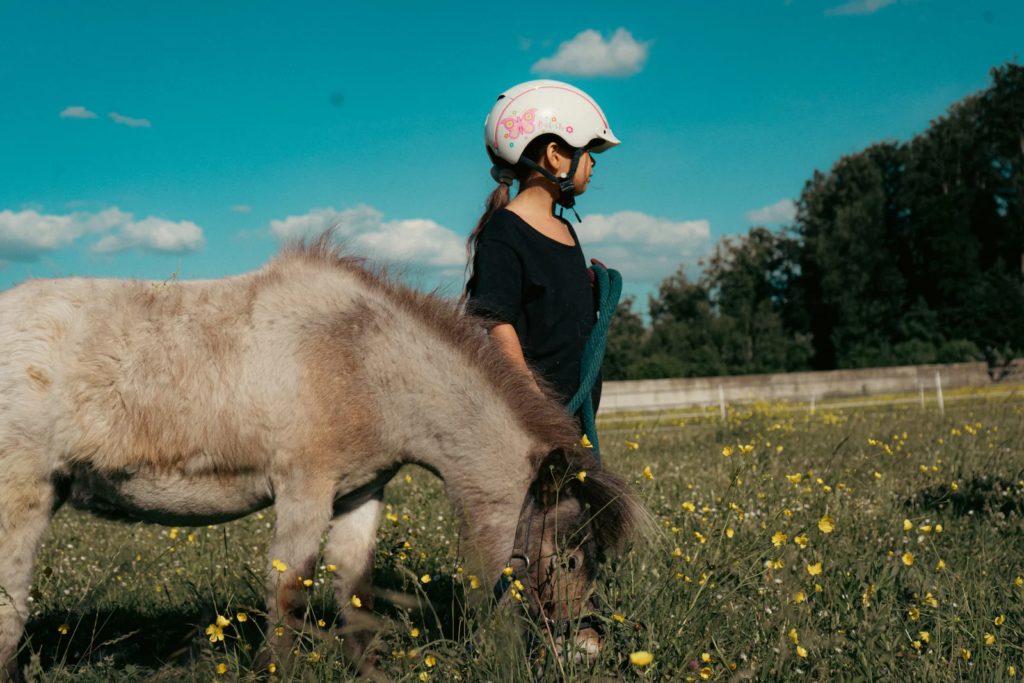 pensions-équestres-bienne-3